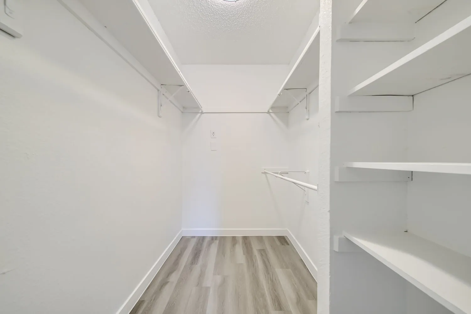 Primary bedroom walk-in closet, built-in shelving, hanging rods