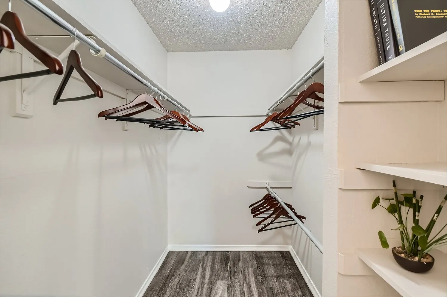 Primary bedroom walk-in closet, built-in shelving