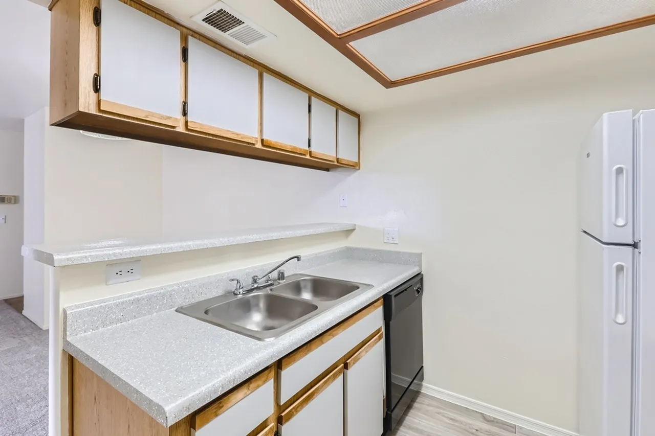 Double basin stainless steel sink, speckled countertop, dishwasher, wood-tone upper cabinets