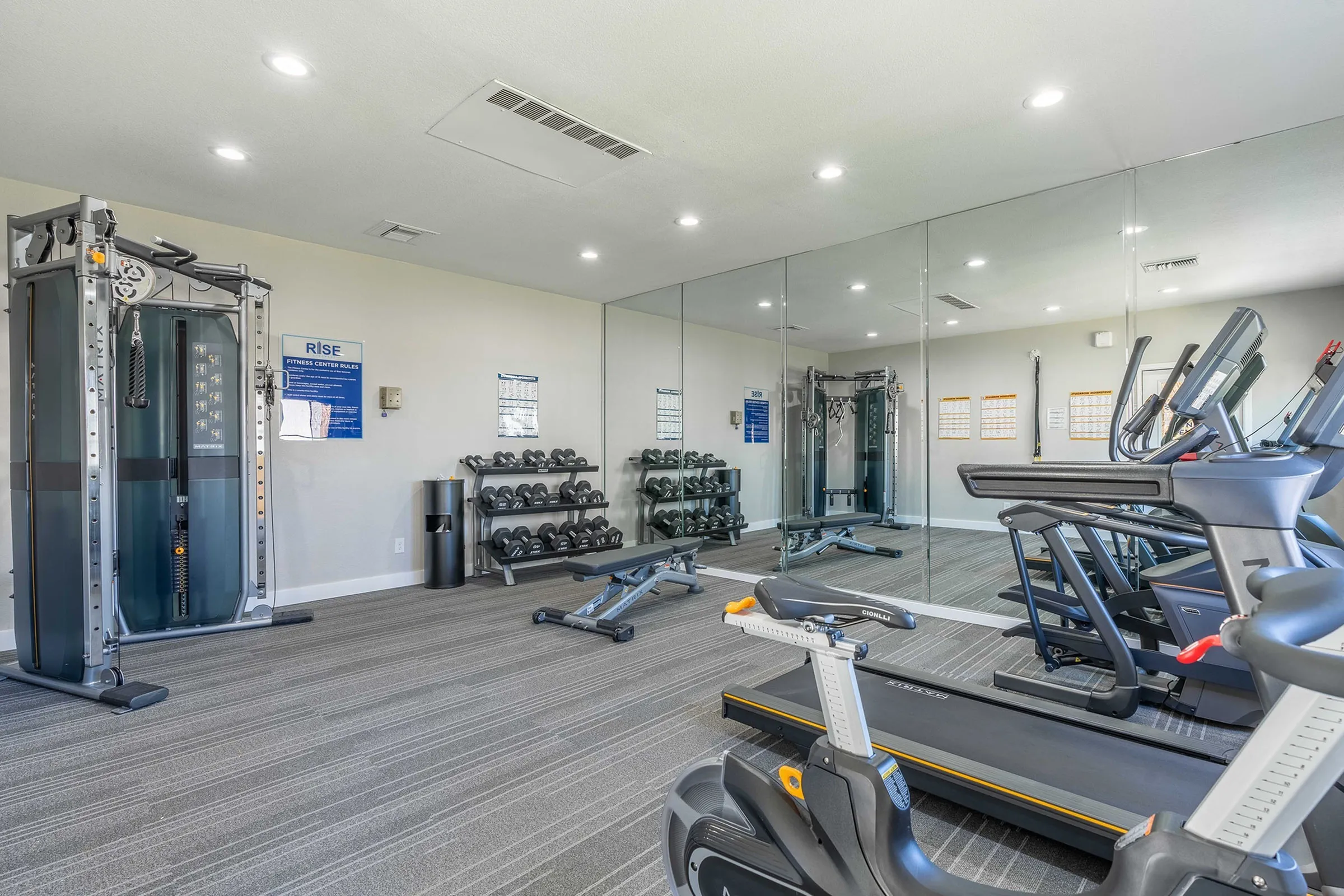 Fitness center, free weights, dumbbell rack, cable machine, mirrored wall