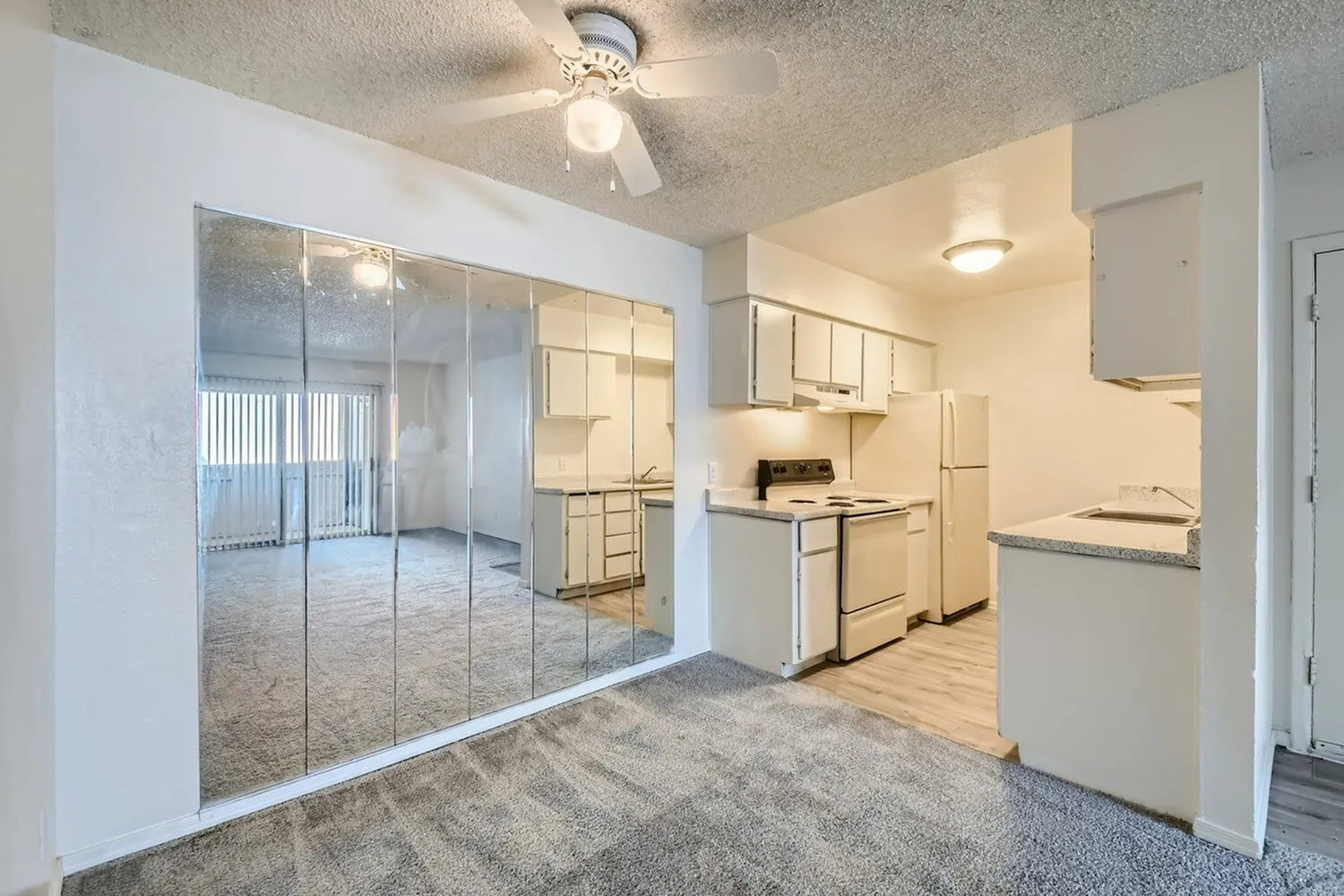 Primary bedroom with sliding glass doors, wood-style plank flooring, ceiling fan, open kitchen with white cabinetry and stainless appliances
