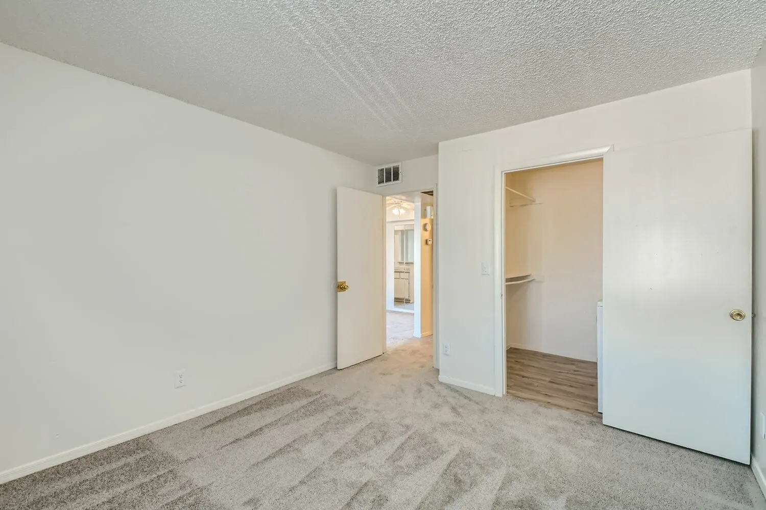 Primary bedroom, wood-style plank flooring, walk-in closet, white walls