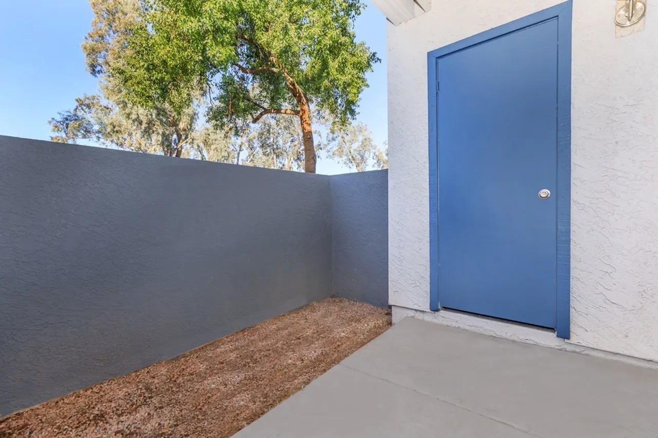 Exterior patio, concrete surface, dark gray wall, blue entry door, mature tree
