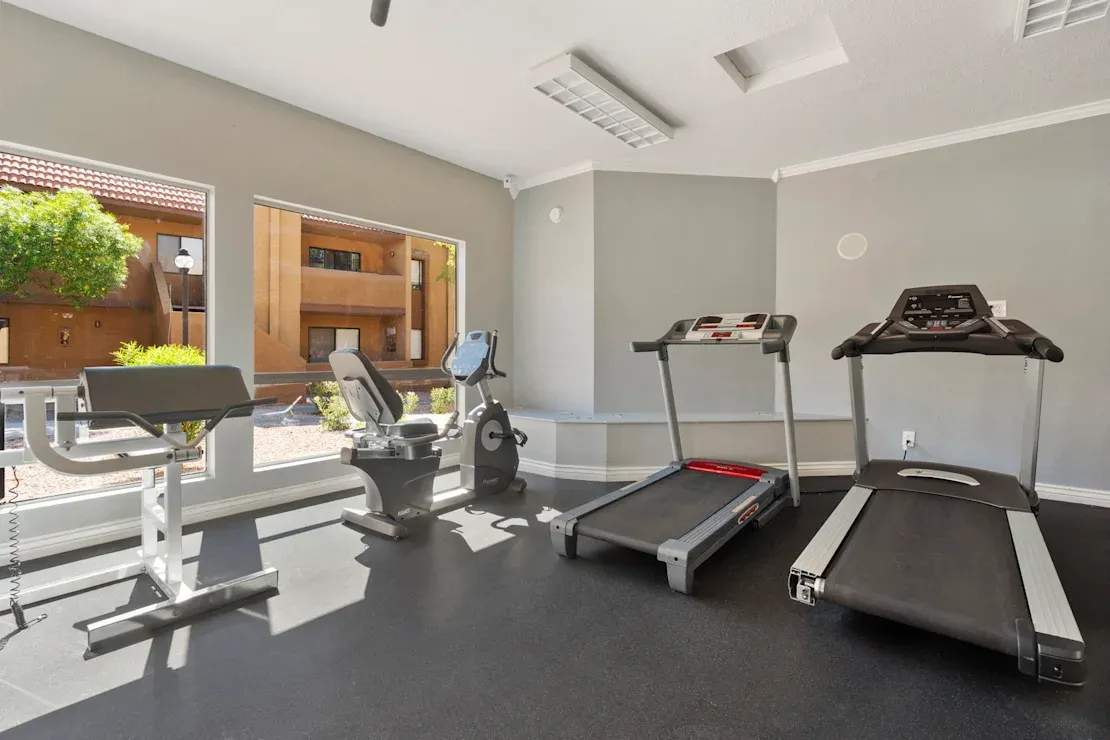 avegym