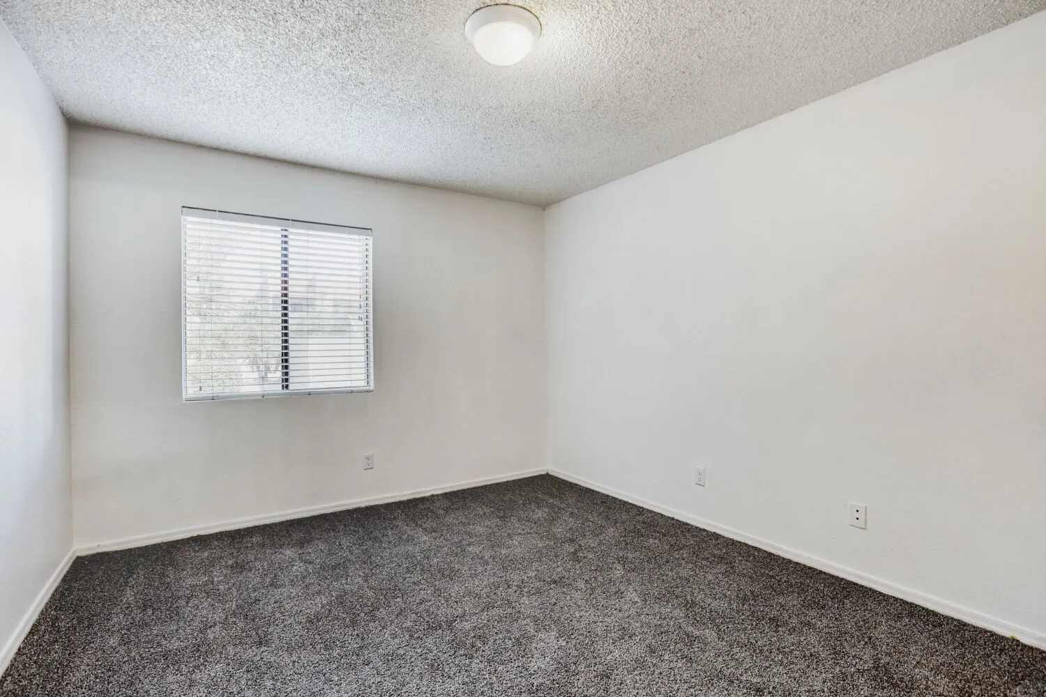 11 Primary Bedroom