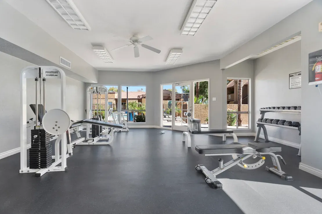 avegym2